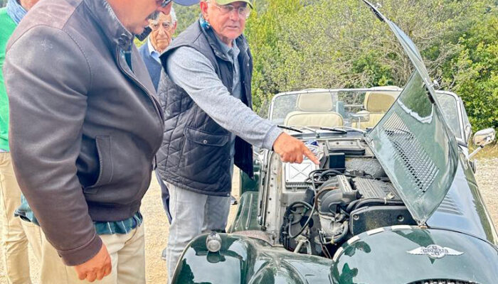 El reposo del guerrero: cuidados Morgan tras el verano