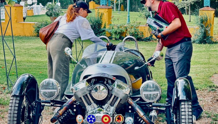 Speedy Marmots sobre 3 ruedas