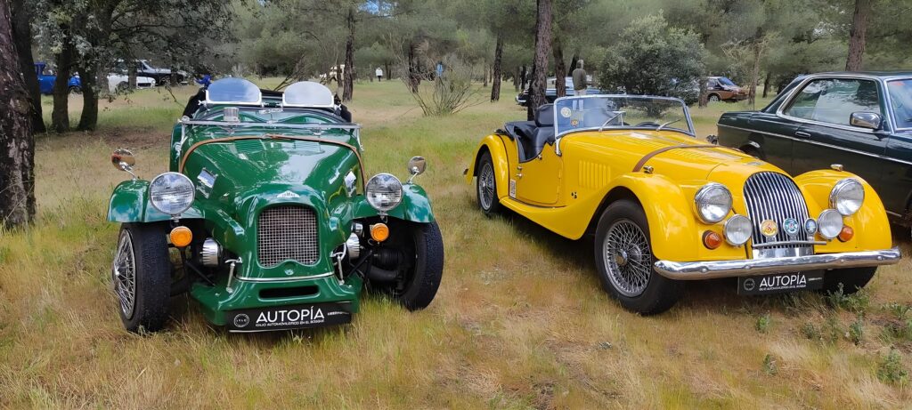 morgan amarillo vozmediano