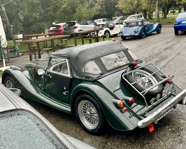 Salida Sierra de Guadarrama. Junio 24