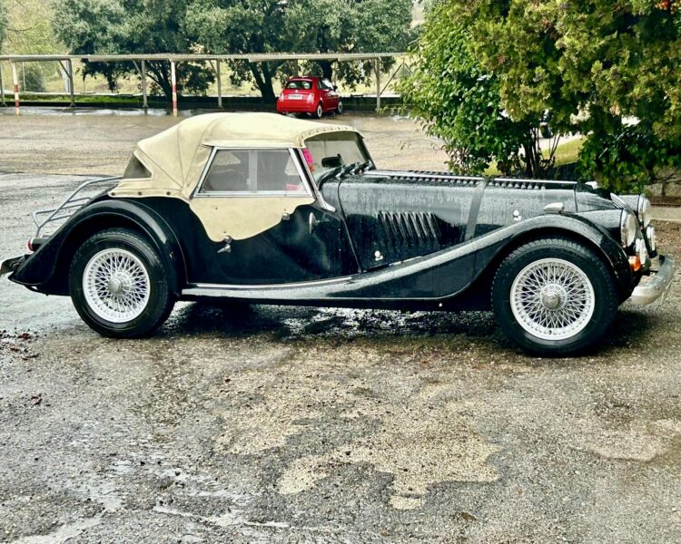 Salida Sierra de Guadarrama. Junio 24