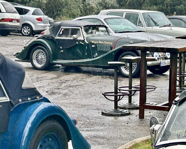 Salida Sierra de Guadarrama. Junio 24