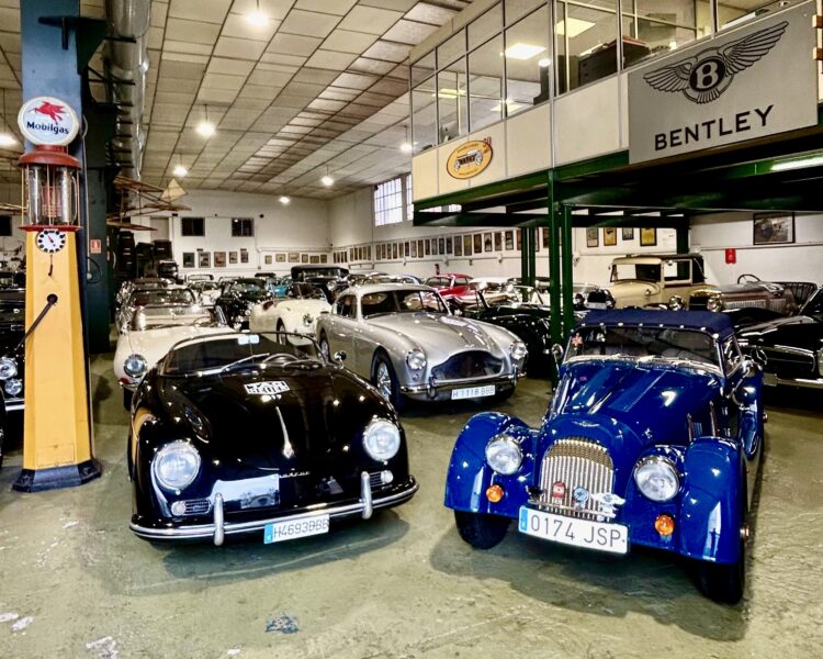 Salida Sierra de Guadarrama. Junio 24