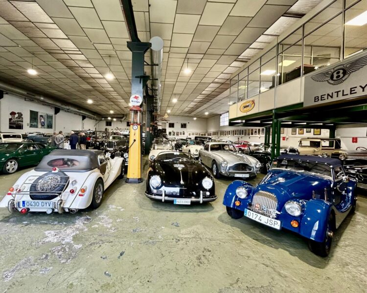 Salida Sierra de Guadarrama. Junio 24