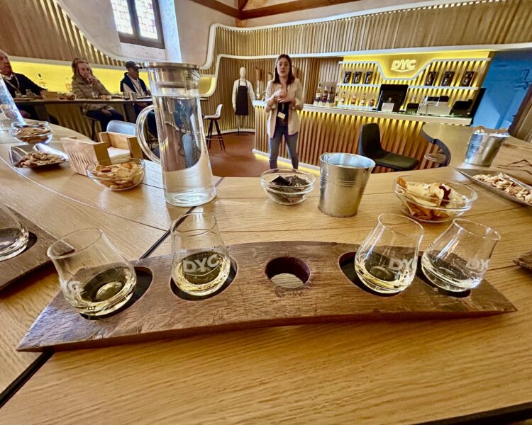 Salida Sierra de Guadarrama. Junio 24