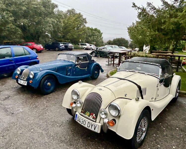 Salida Sierra de Guadarrama. Junio 24