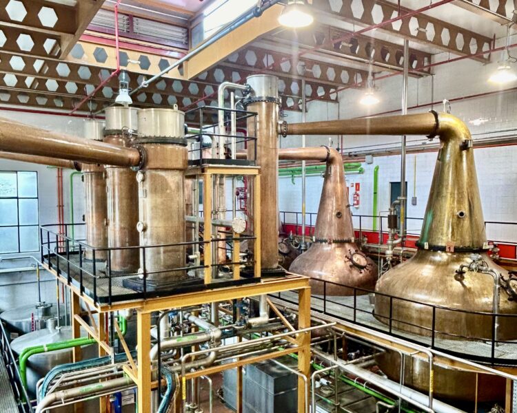 Salida Sierra de Guadarrama. Junio 24