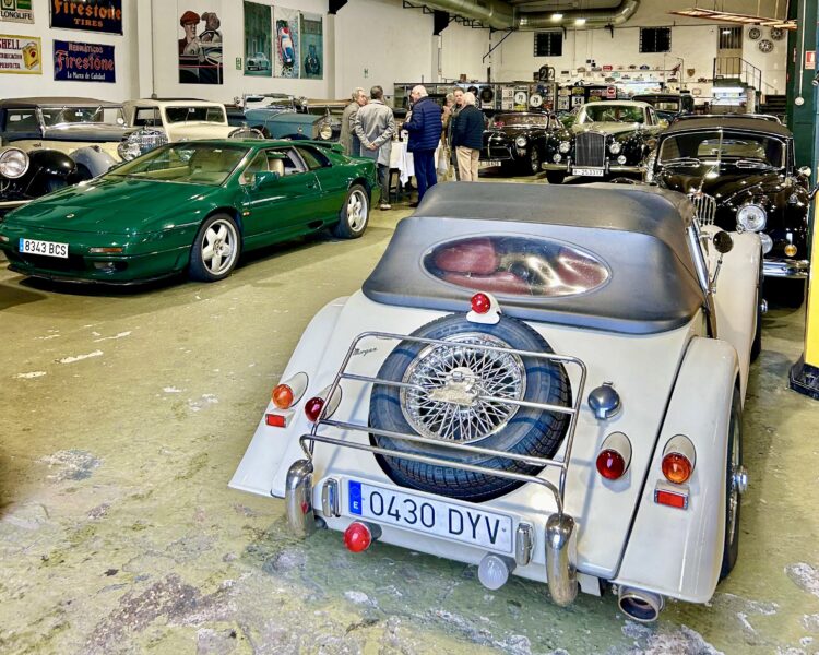 Salida Sierra de Guadarrama. Junio 24