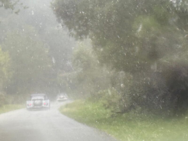 Escapada a Besalú bajo la lluvia. Marzo 2025