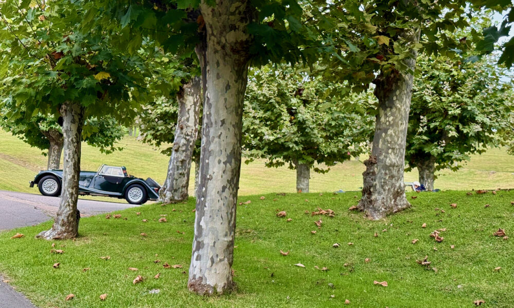 Salida Villa de Comillas. Octubre 2025