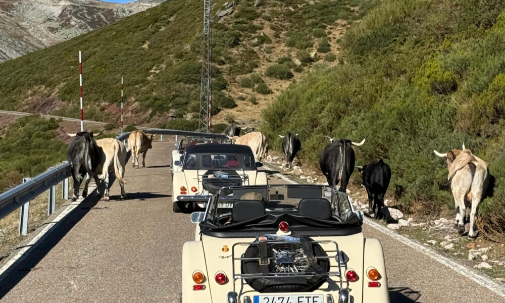 Salida Villa de Comillas. Octubre 2025