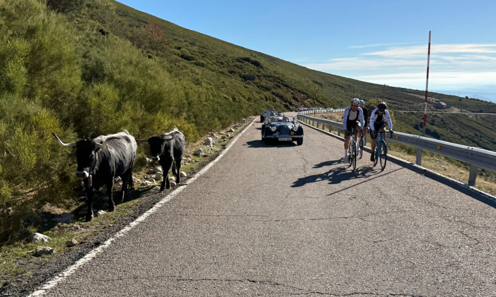 Salida Villa de Comillas. Octubre 2025