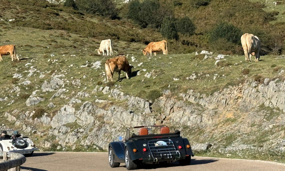 Salida Villa de Comillas. Octubre 2025