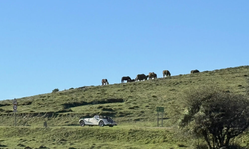 Salida Villa de Comillas. Octubre 2025
