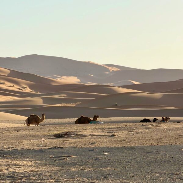 Marruecos abril 2026 – I